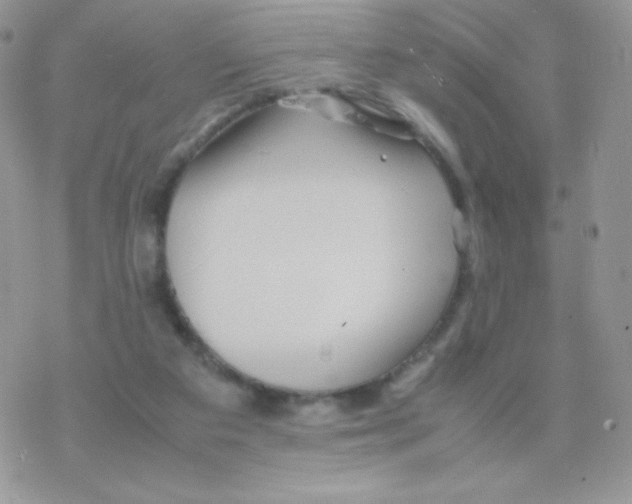 X0000077360113200611171933