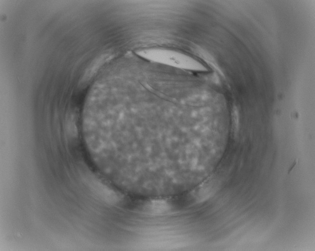 X0000077360114200611171933