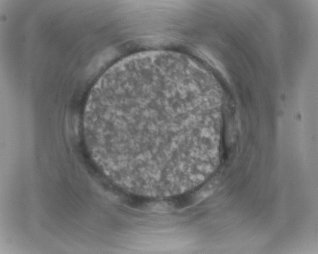 X0000077360115200611171933