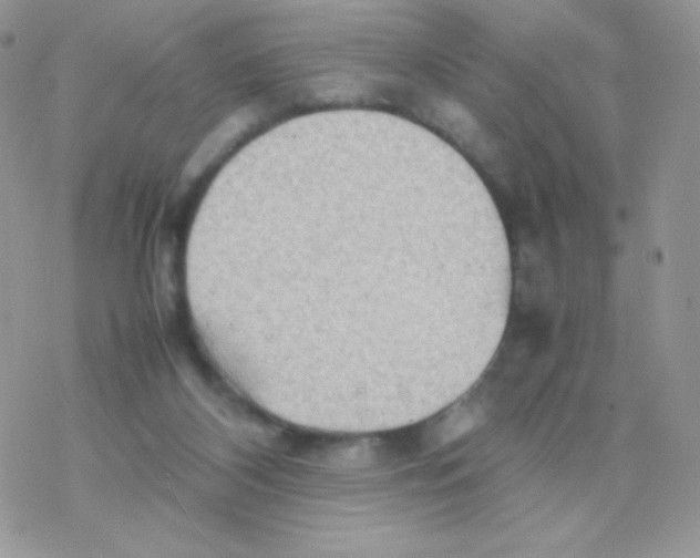 X0000077360116200611171933