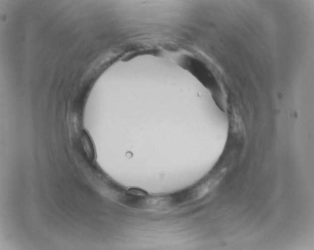 X0000077360117200611171933