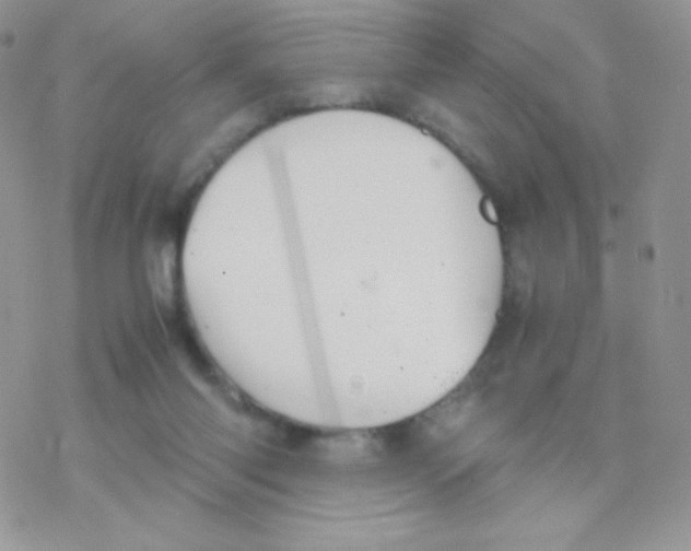 X0000077360118200611171933