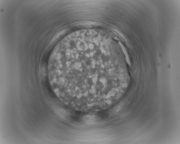 X0000077360119200611171933