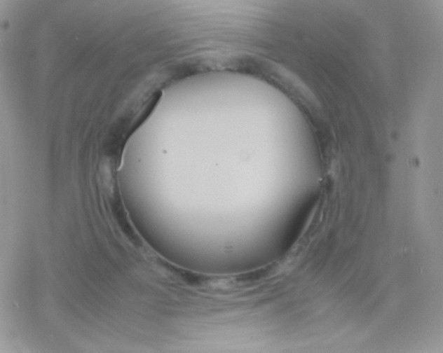 X0000077360121200611171933