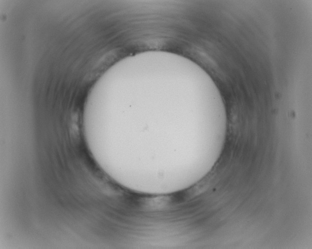 X0000077360122200611171933