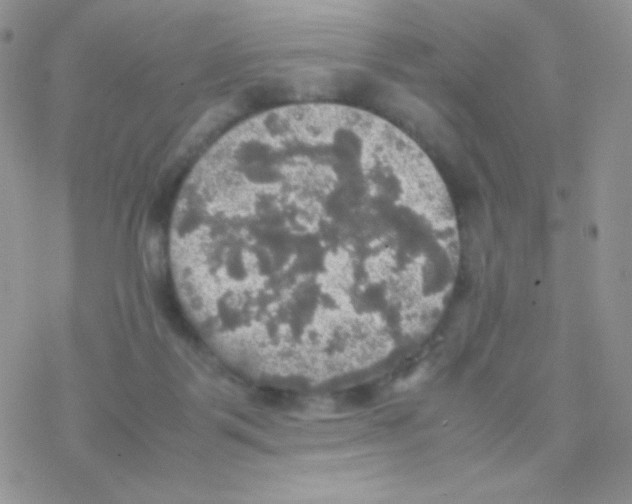 X0000077360123200611171933