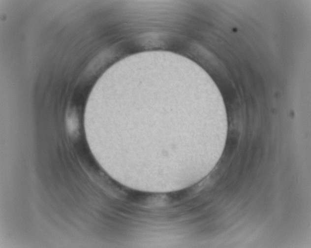 X0000077360124200611171933