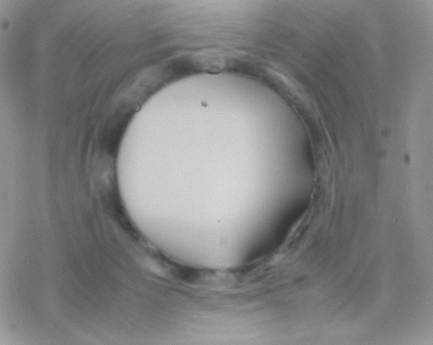 X0000077360125200611171933