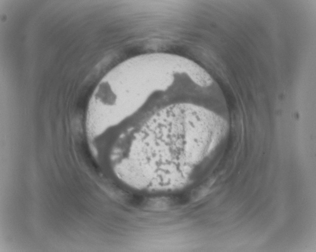 X0000077360127200611171933