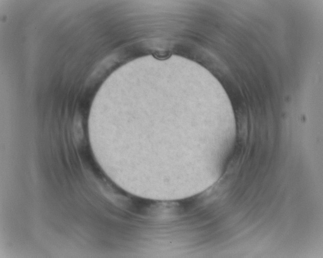 X0000077360128200611171933