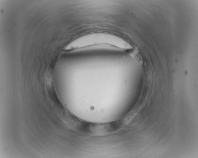 X0000077360129200611171933