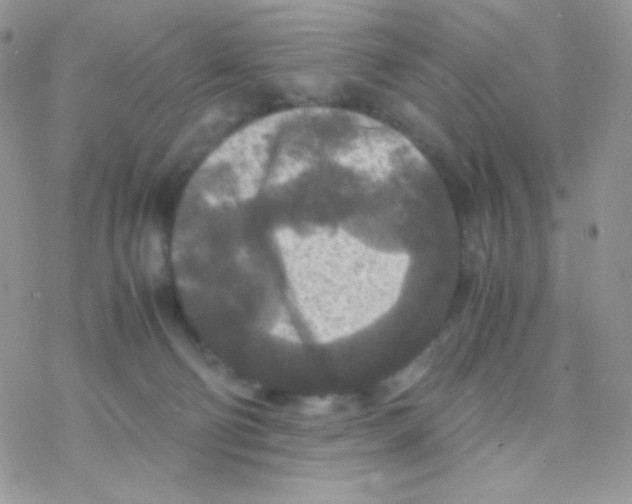 X0000077360130200611171933