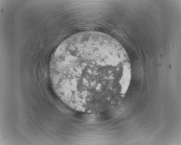 X0000077360131200611171933