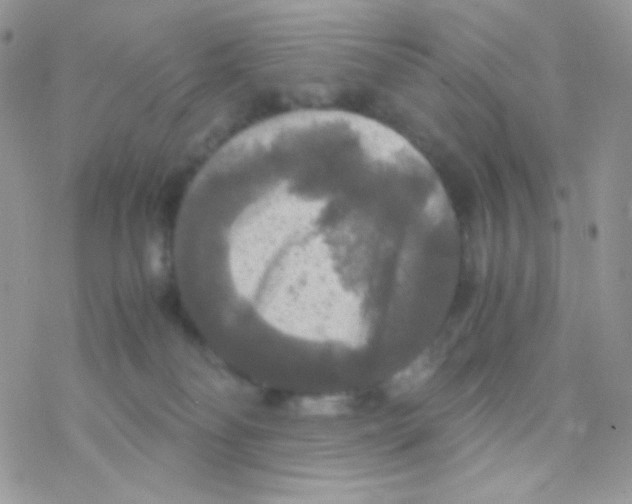 X0000077360134200611171933