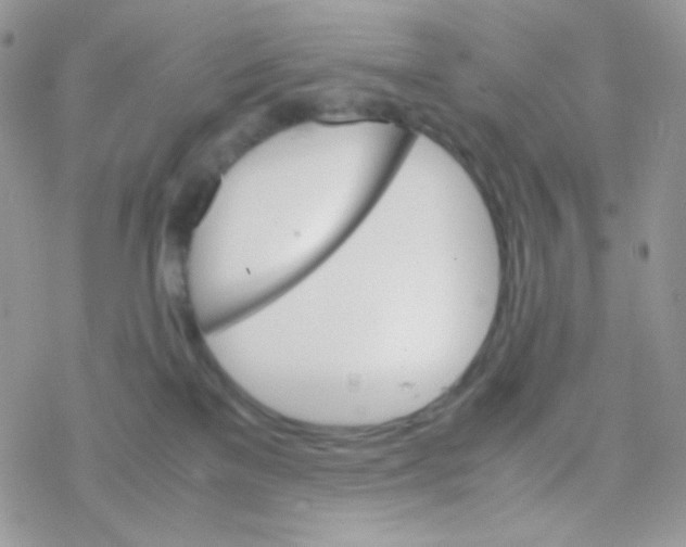 X0000077360137200611171933