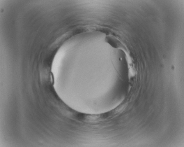 X0000077360139200611171933