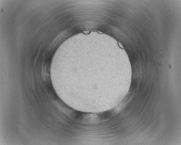 X0000077360140200611171932