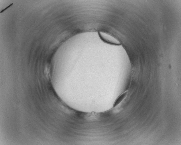 X0000077360142200611171932