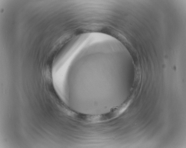 X0000077360143200611171932