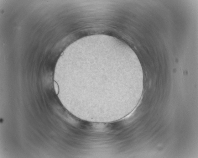 X0000077360144200611171932