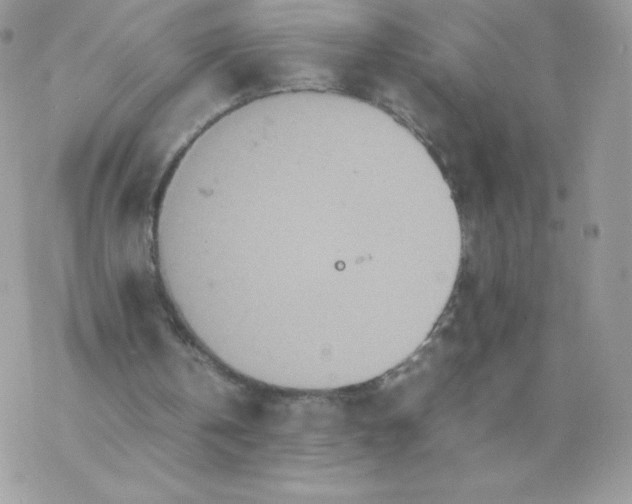 X0000077360146200611171932