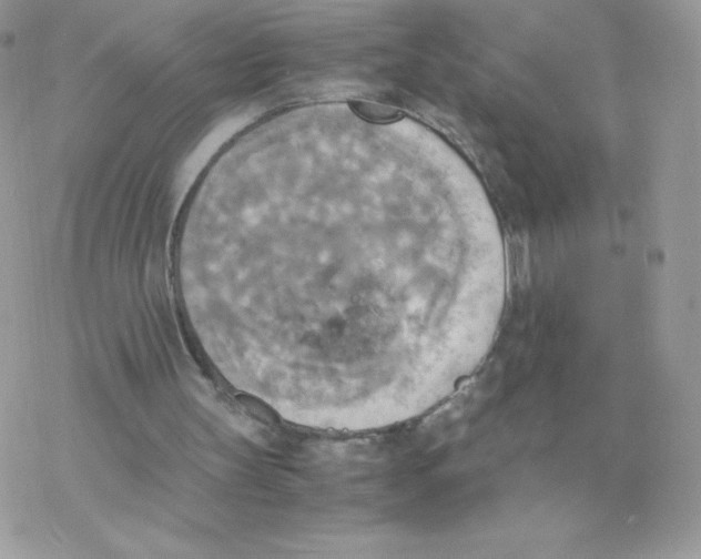 X0000077360147200611171932