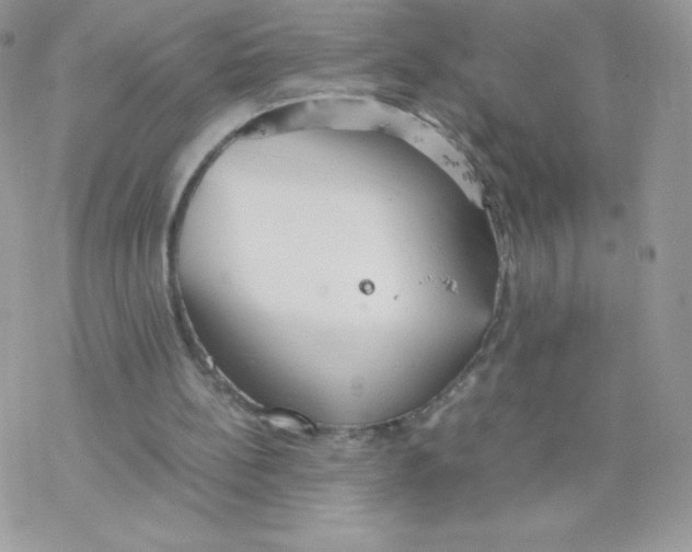 X0000077360148200611171932