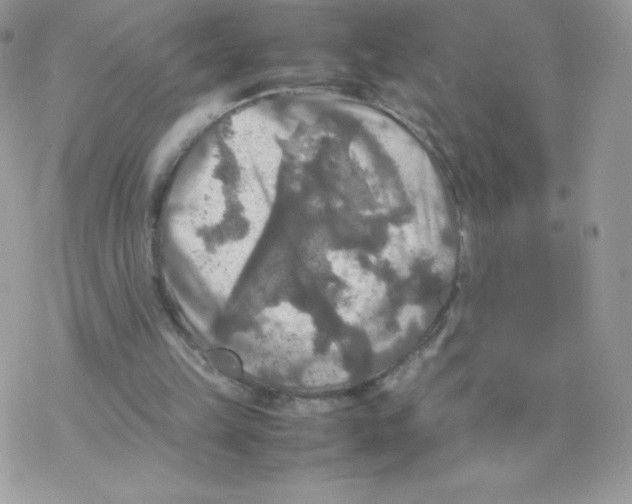 X0000077360149200611171932