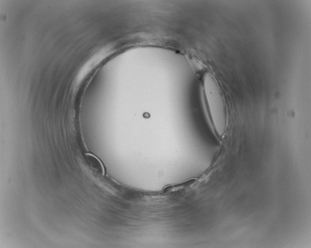 X0000077360150200611171932