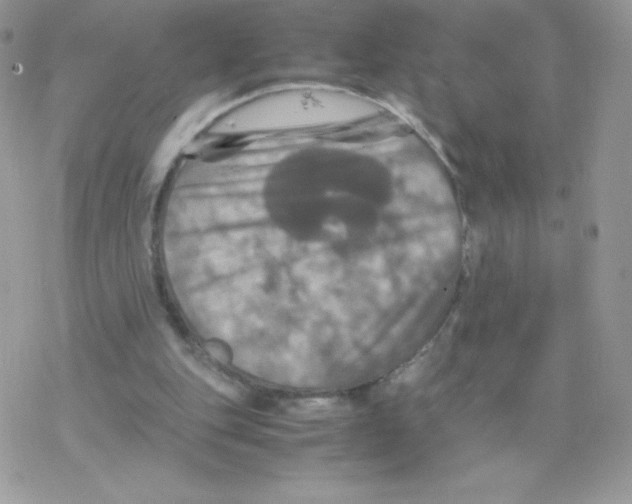 X0000077360151200611171932