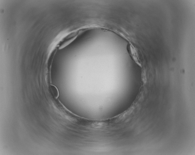 X0000077360152200611171932