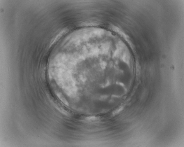 X0000077360153200611171932