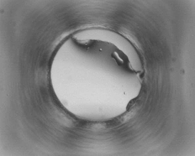 X0000077360156200611171932