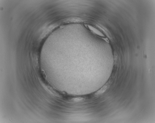 X0000077360158200611171932