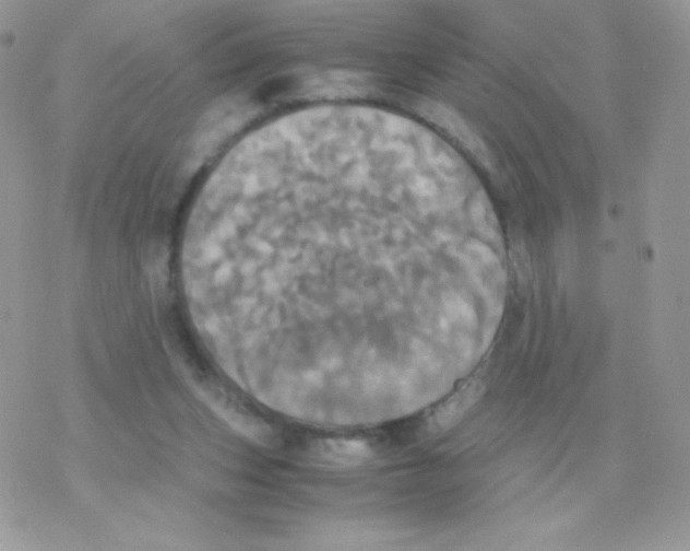 X0000077360159200611171932