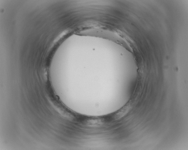 X0000077360160200611171932