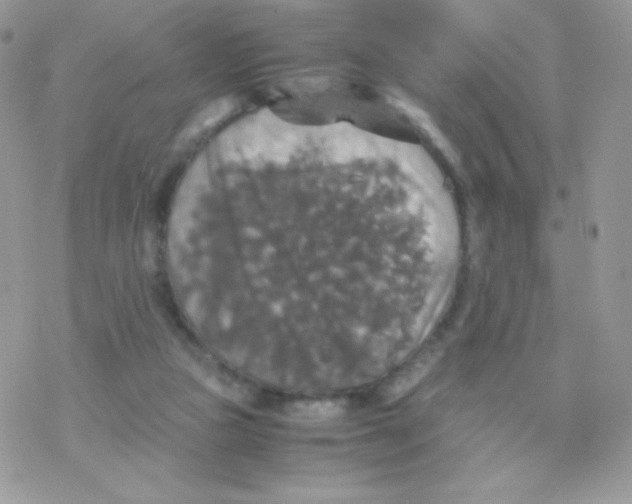 X0000077360161200611171932