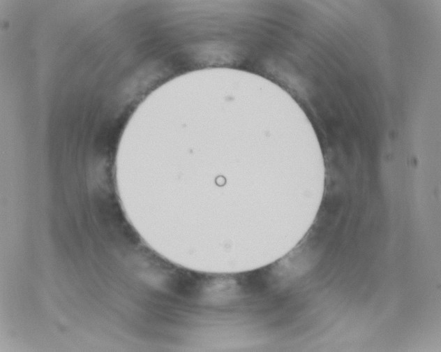 X0000077360162200611171932