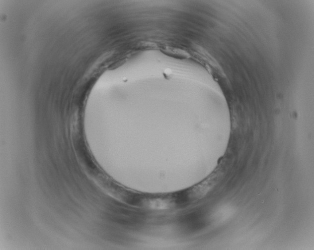 X0000077360163200611171932