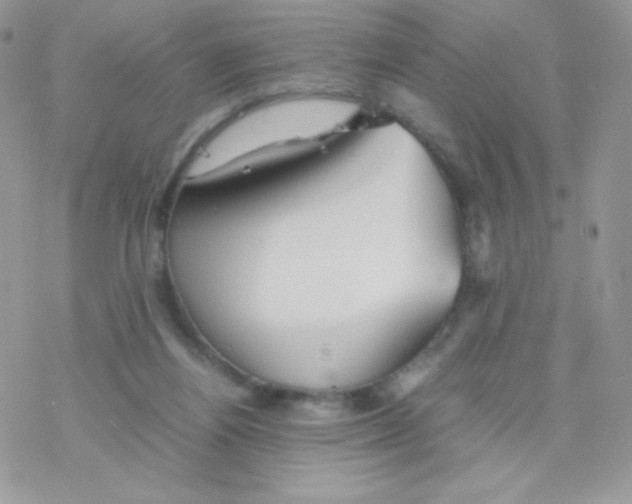 X0000077360164200611171932