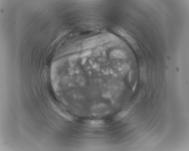 X0000077360165200611171932