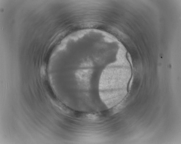 X0000077360166200611171932