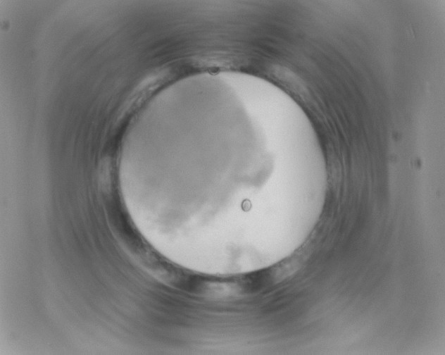 X0000077360167200611171932