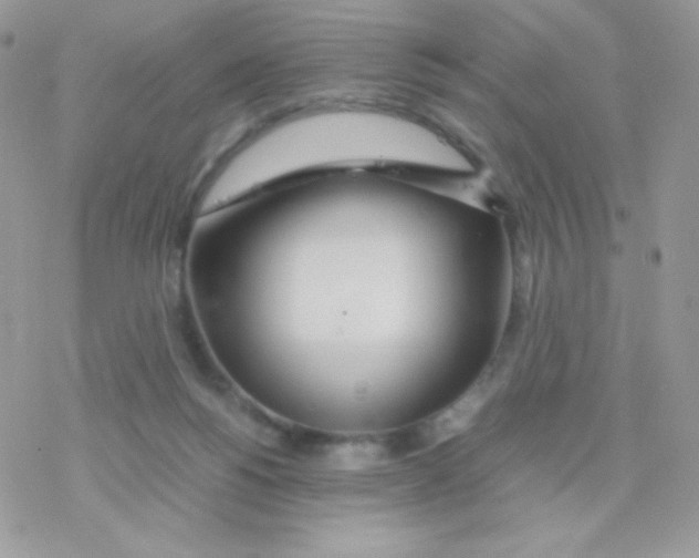 X0000077360168200611171932