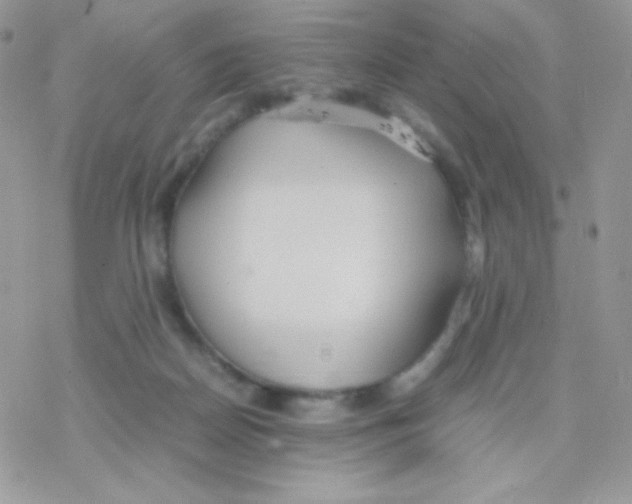 X0000077360170200611171932