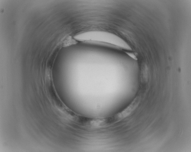 X0000077360172200611171932