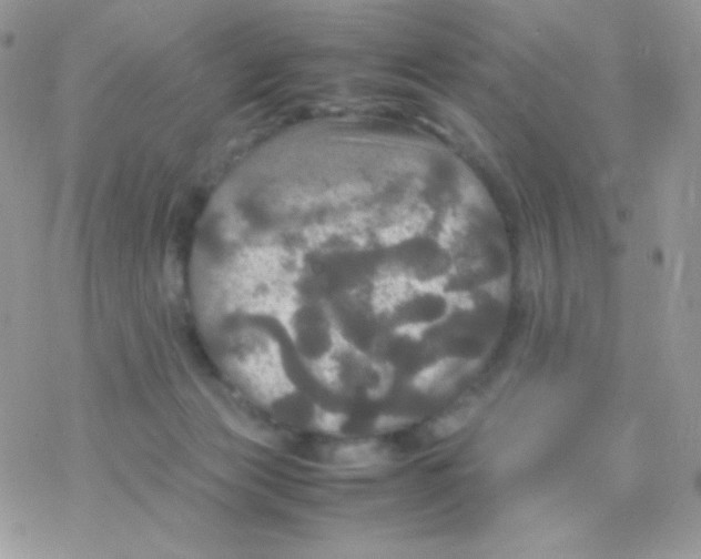 X0000077360173200611171932