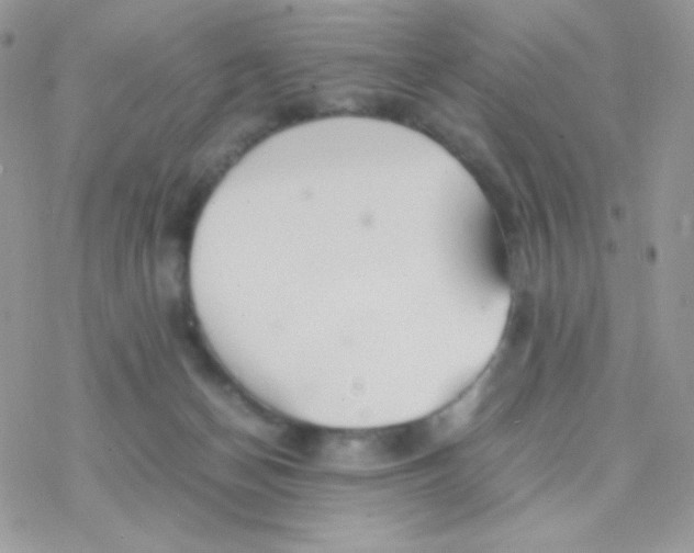 X0000077360174200611171932