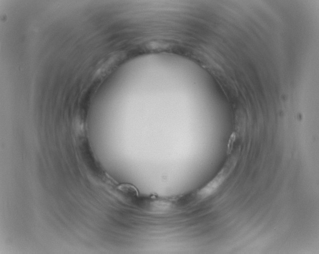 X0000077360176200611171932