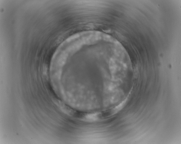 X0000077360178200611171932